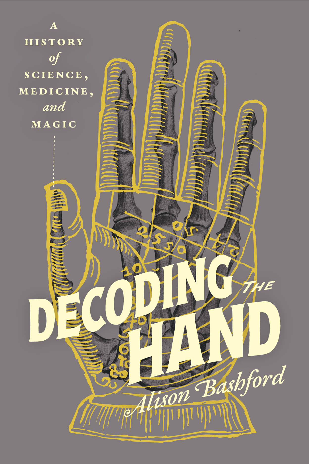 Front cover of Decoding the Hand by Alison Bashford